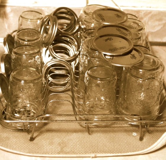 Sterilizing Cans